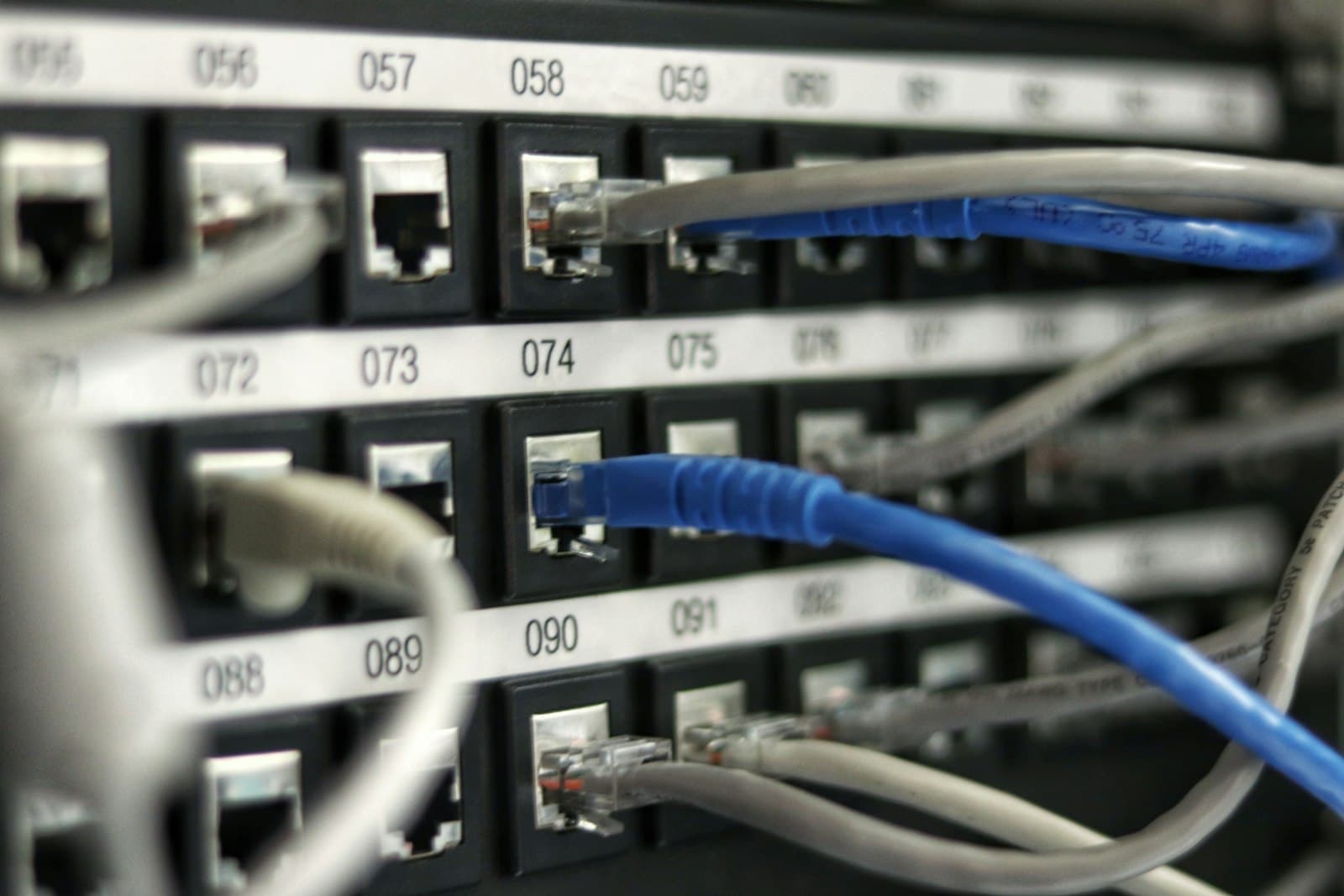 Mavi ethernet ağ kablosu